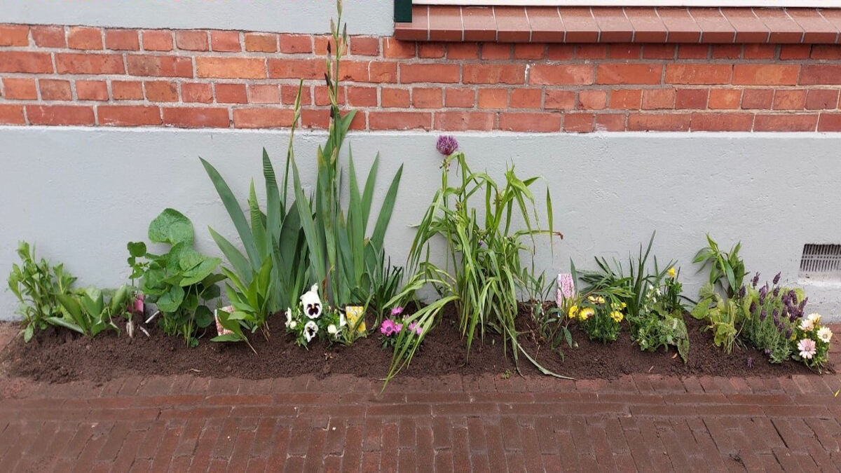 thumbnail_Geveltuin-Kettingstraat-Arjan-Slotboom.jpg