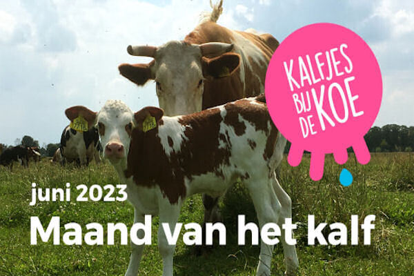 Maand-van-het-kalf-afbeelding-nieuwsbrief.jpg