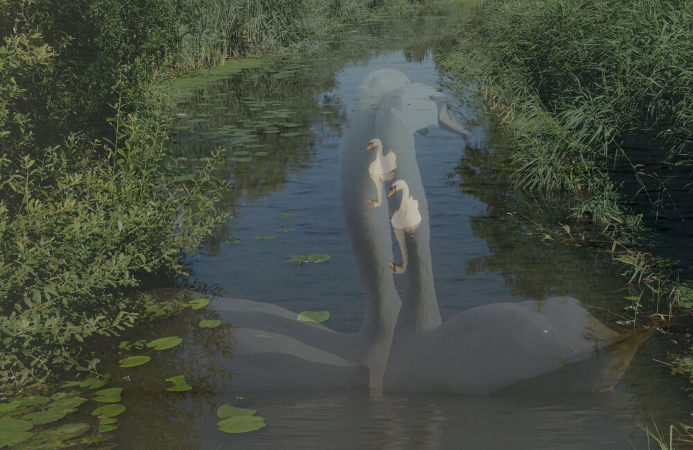 Opnamen uit de documentaire1