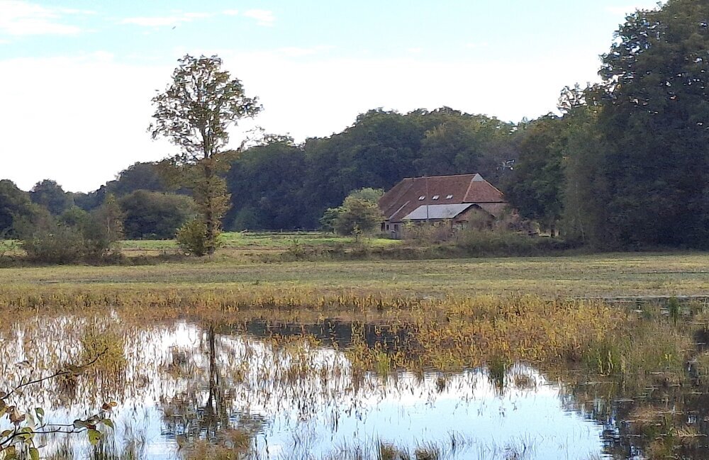 Zicht op Stelkampsveld en boerderij de Steelkamp (1).jpg