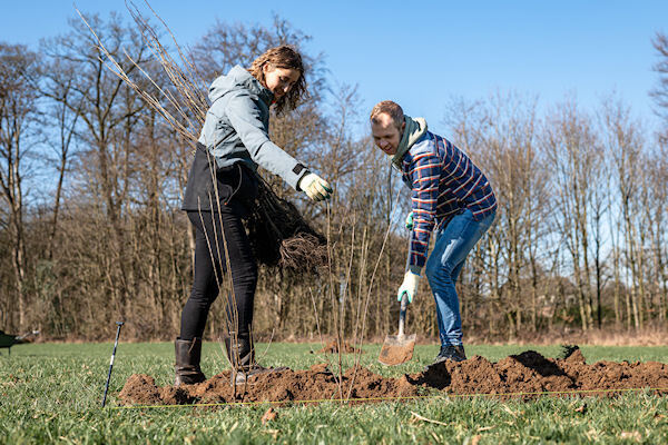 Aanplanting-Website-025-Marcel-de-Bont-Fotografie.jpg