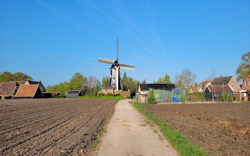 bataafsemolen.jpg