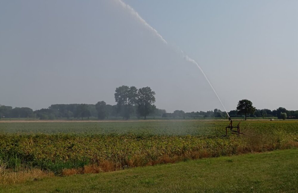 Sproei Droogte 2026-1