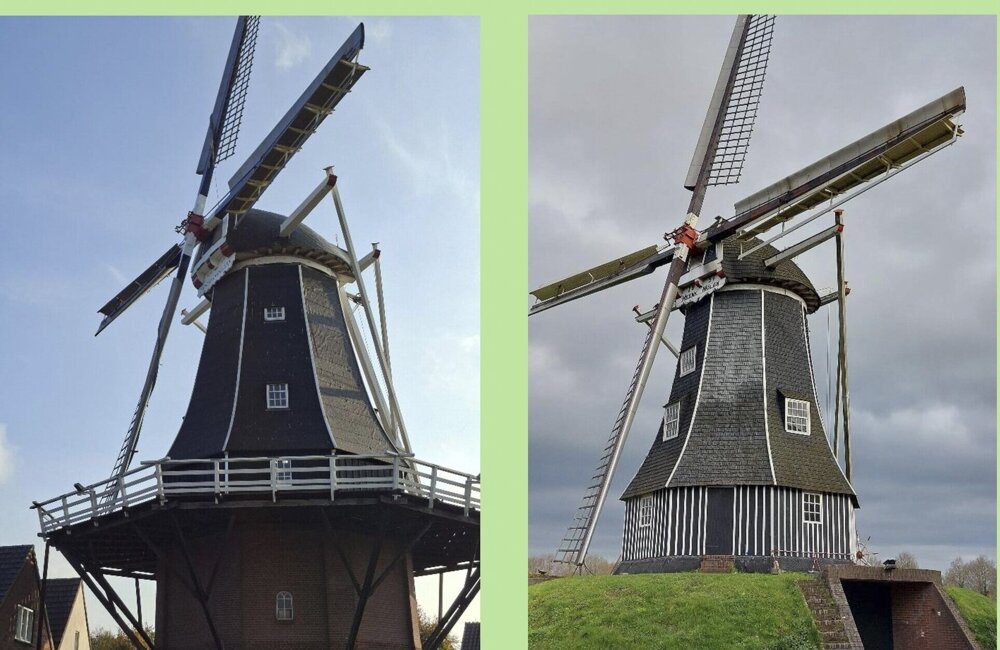Foto Gelderse Molendag 2026
