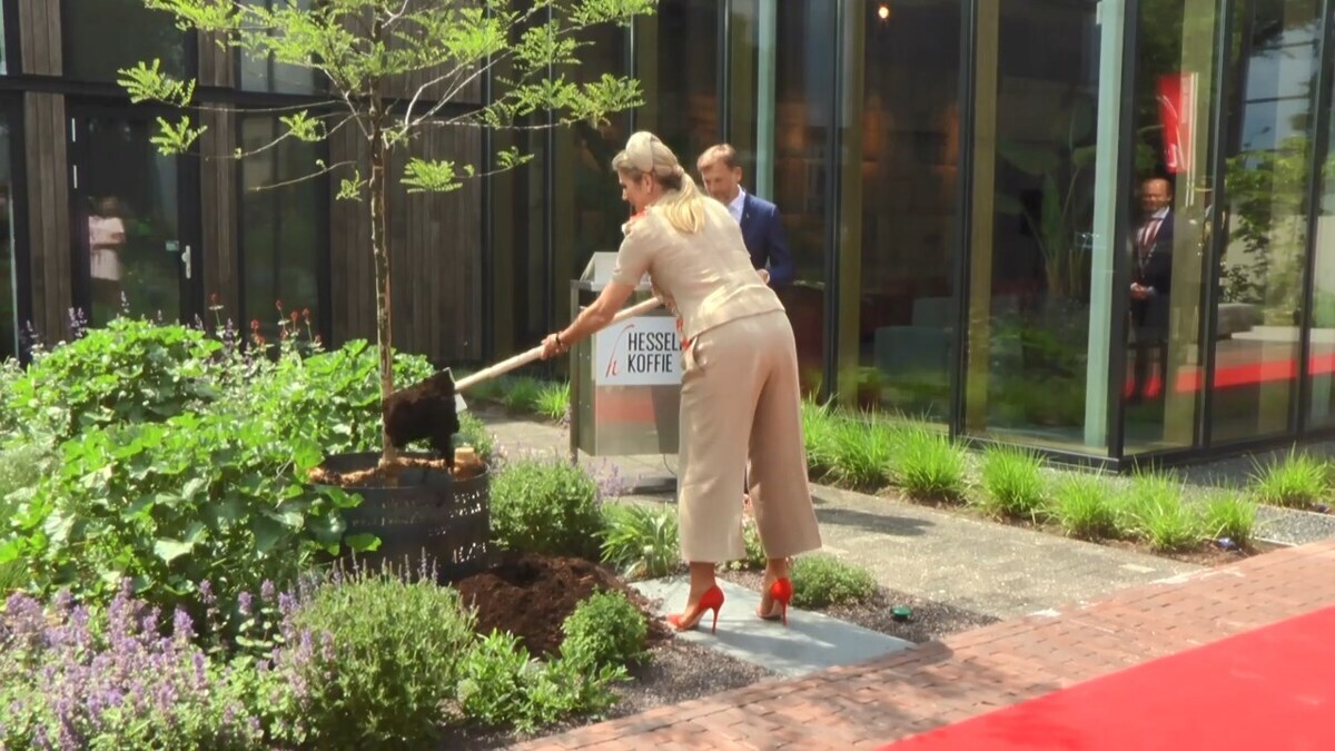maxima-hesselink-koffie.jpg