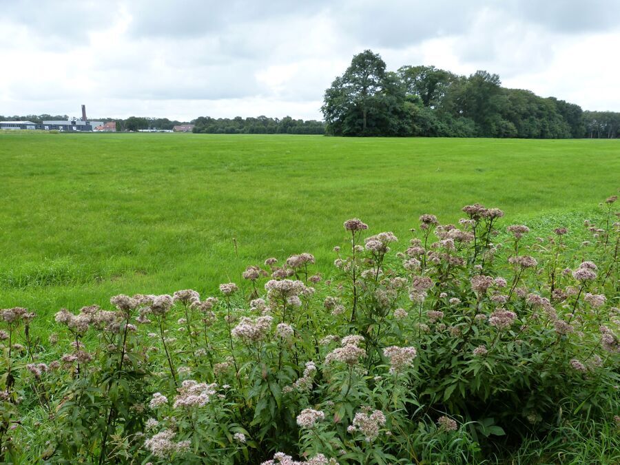 Voorkeurslocatie-bedrijventerrein-Misterweg.jpg