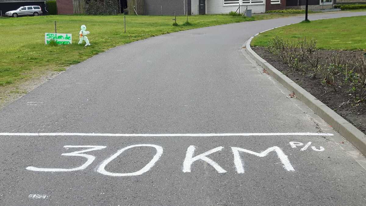 anemoonstraat.jpeg