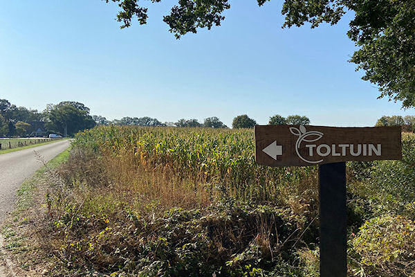 Toltuin.jpg