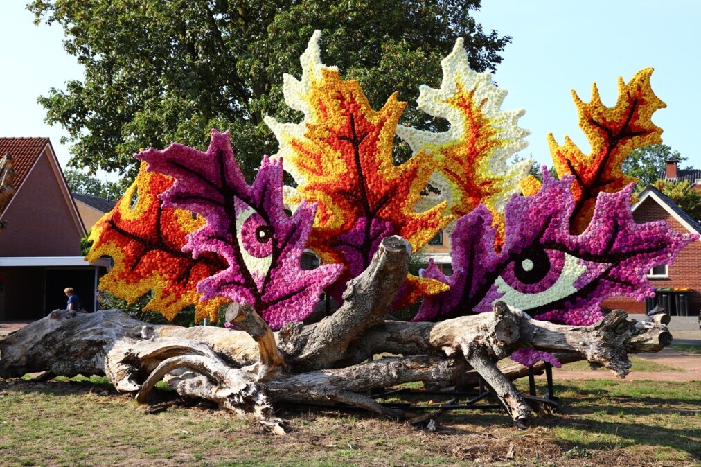 Bloemencorso-Lichtenvoorde.jpg