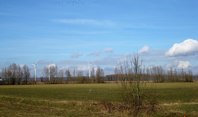 windmolens_winterswijk.jpg