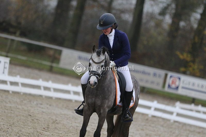 paaardensport-copyrights-jade-ten-pas