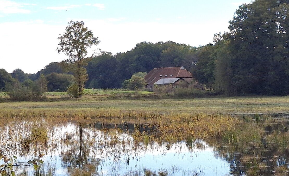 Zicht op Stelkampsveld en boerderij de Steelkamp (1).jpg