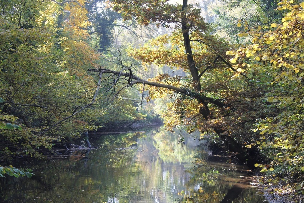 slingebeek1.JPG
