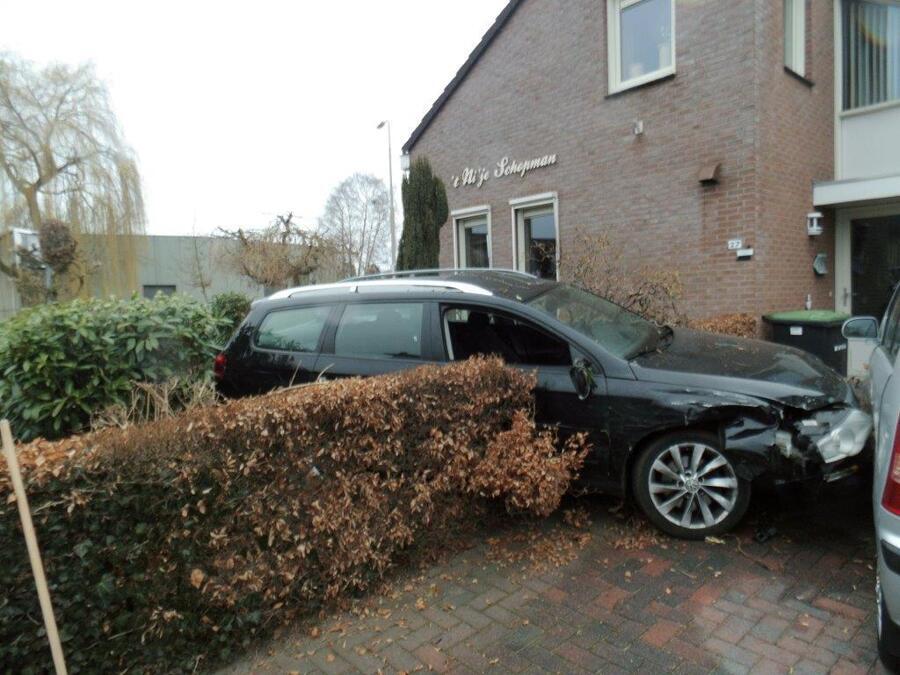 AUTO_IN_TUIN_003.jpg