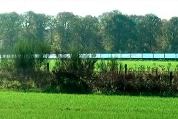 arrisveld.jpg