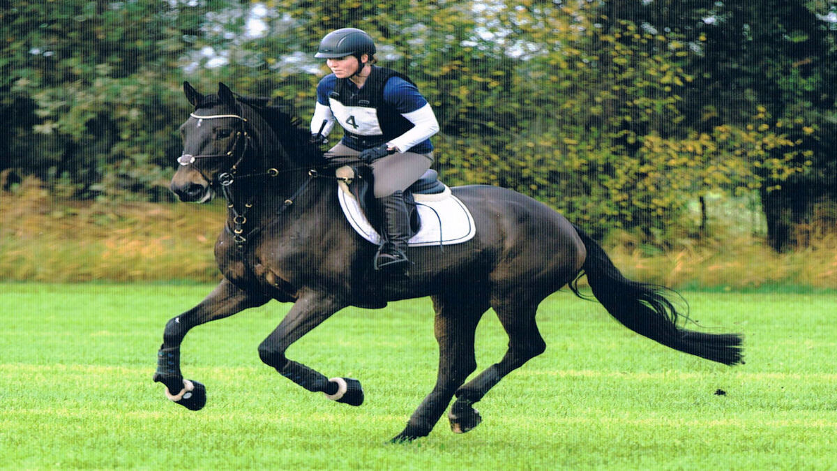 Sofietje-rekken-galop-kopie