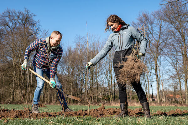 Aanplanting-Website-028-Marcel-de-Bont-Fotografie
