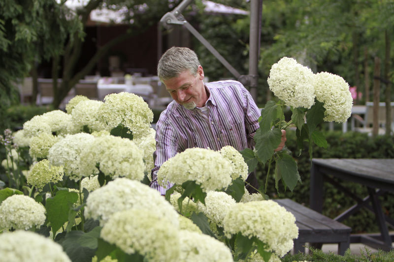 dewoord-volckmar_kroes.jpg