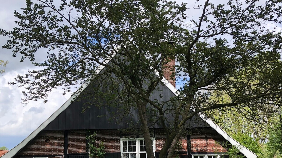 hoeve-eskes-foto-Ine-Haanappel.jpg