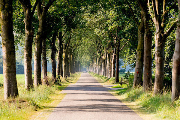 RPA-Landschap