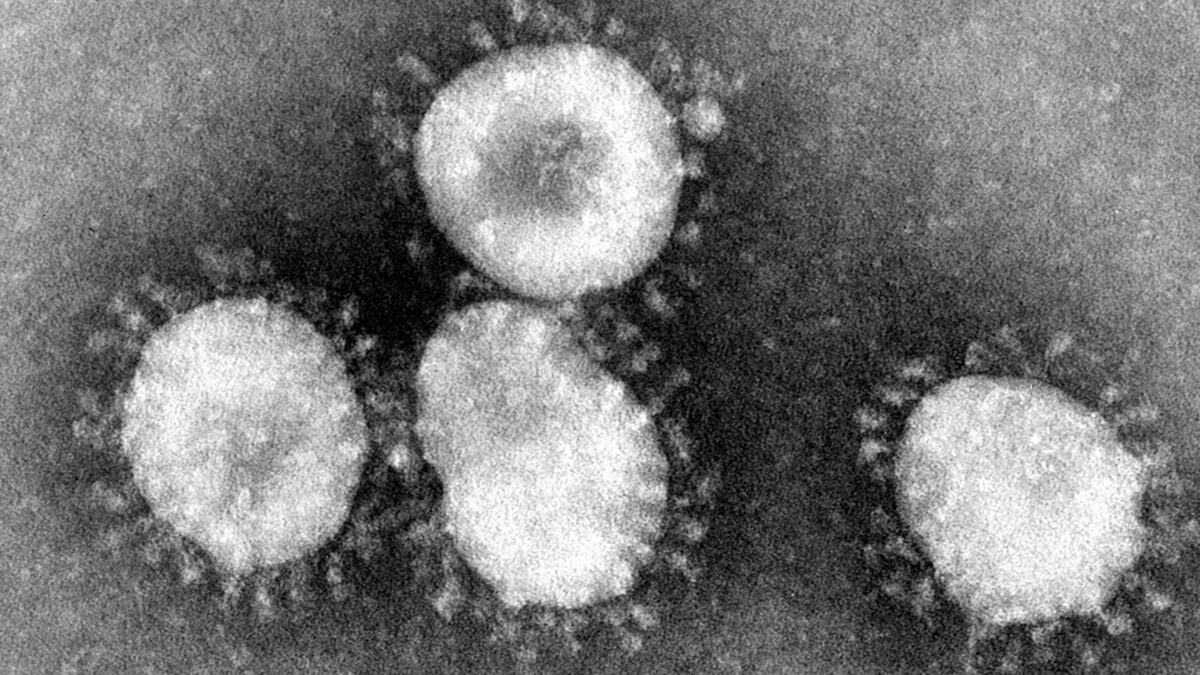 Coronaviruses_004_lores-e1584286519116.jpg